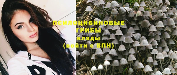 спиды Белокуриха