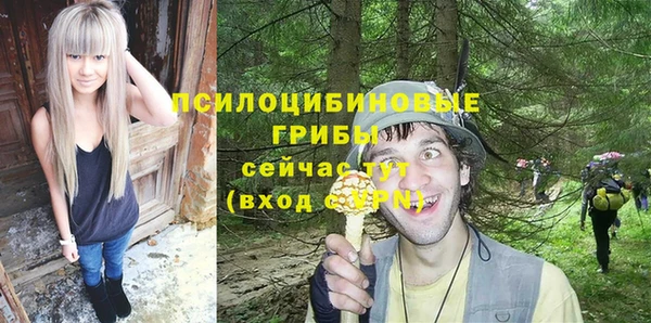 спиды Белокуриха