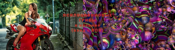 гидропоника Беломорск
