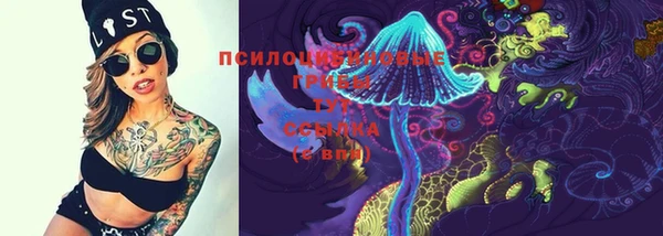 спиды Белокуриха