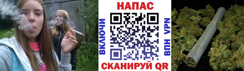 Шишки марихуана марихуана  MEGA tor  Пионерский 
